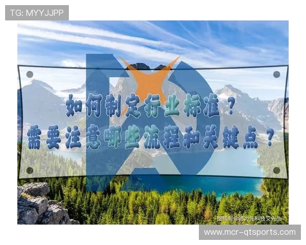 行业标准制定加速推进 促进市场规范发展